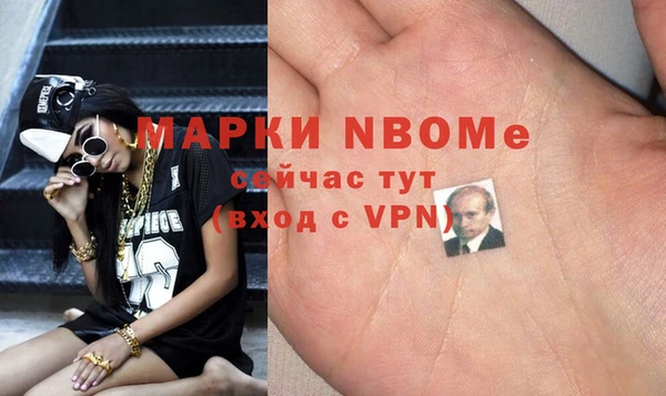 сатива Бородино