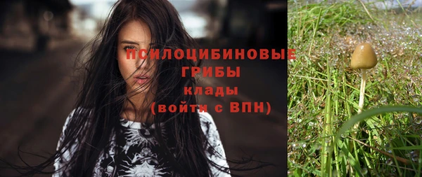 прущий лед Верея