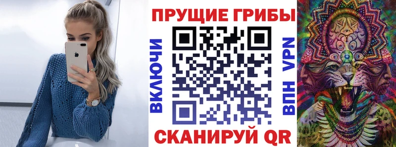 Псилоцибиновые грибы Psilocybine cubensis  Камень-на-Оби 